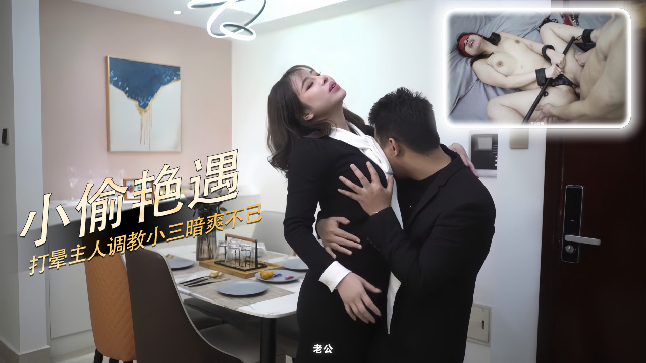 小偷豔遇   打暈主人調教小三暗爽不已 A片