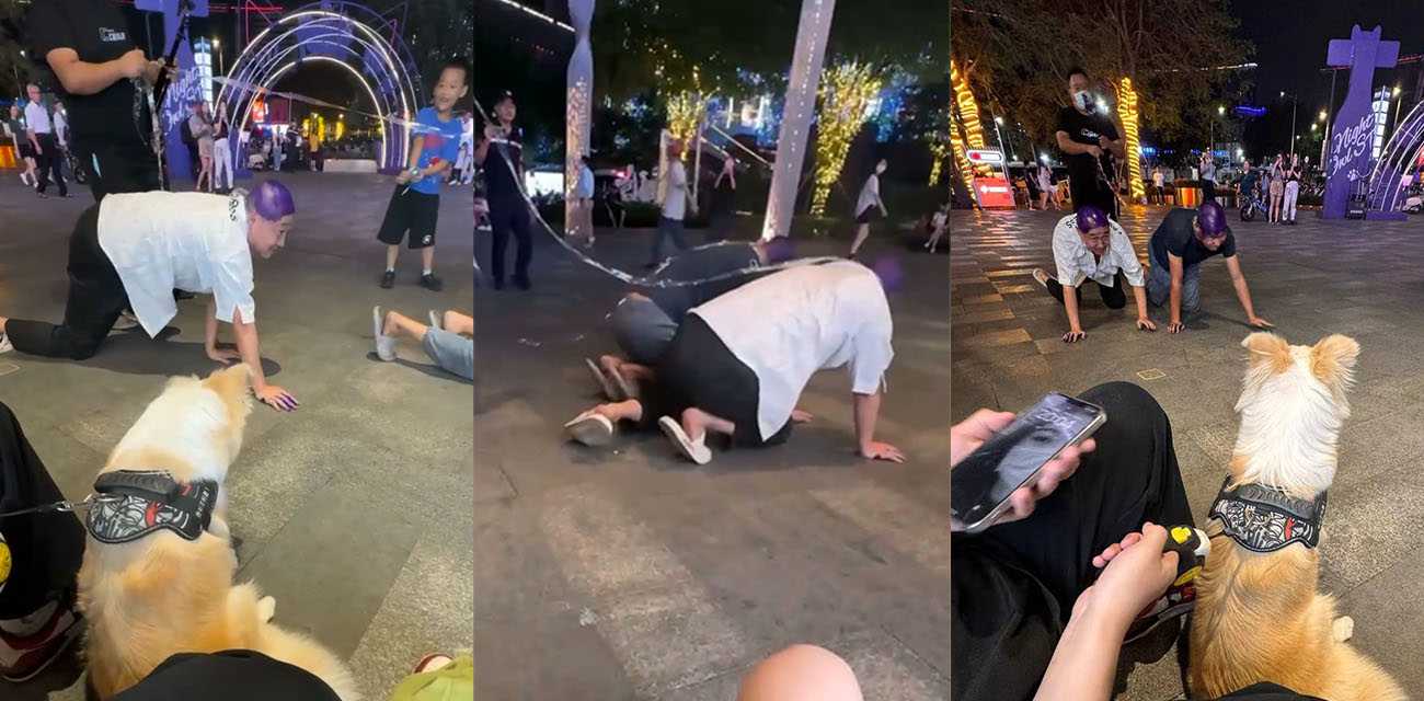 炸裂事件 深圳华龙一方天地 一男子用牵引绳遛两个男人逛街 把狗都看懵了 这是在学谁呢