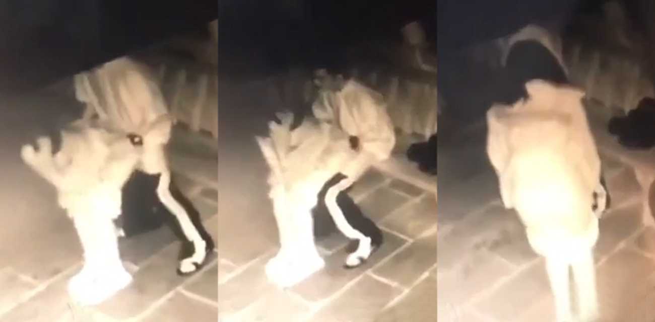 南方某职业技术学校 小情侣学校小树林做爱 被监控偷拍 视频流出 小伙射的有点快啊