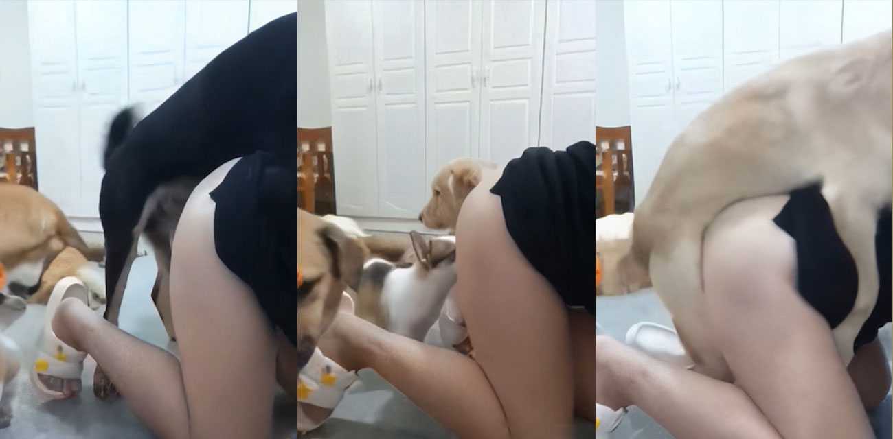 人狗情未了！骚货家中养了一群狗子 享受被狗子轮奸的快感