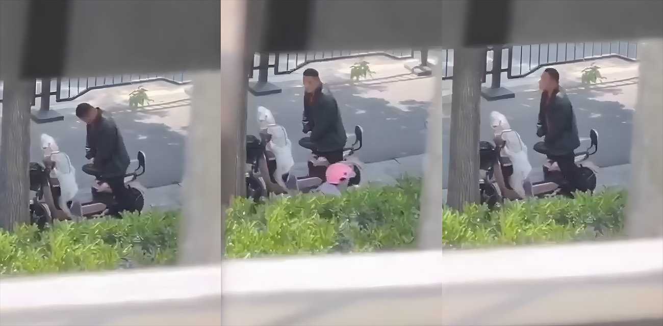 大哥你是真饥渴呀！光天化日之下在大街上就日起了电动车 骑车路过的大姐都没眼看了