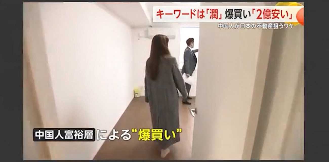 为何 马云 王思聪 等富豪都喜欢移民日本？来听听到底怎么回事！