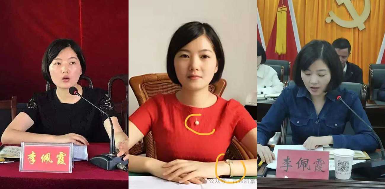江西县委书记毛奇遭举报性侵 受害美女乡官李佩霞反遭带走留罪证USB「保命」有片