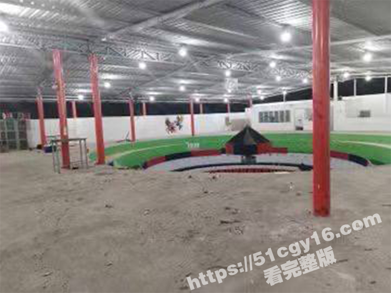 厄瓜多尔大屠杀-2