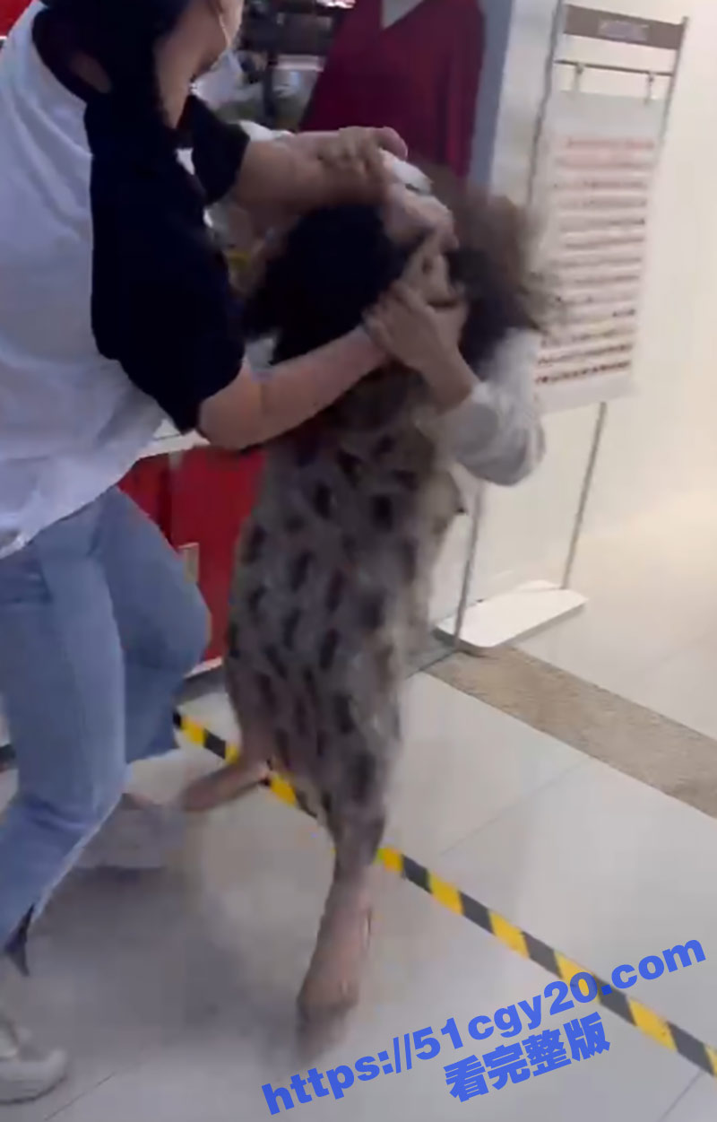 微信截图_20250501164804