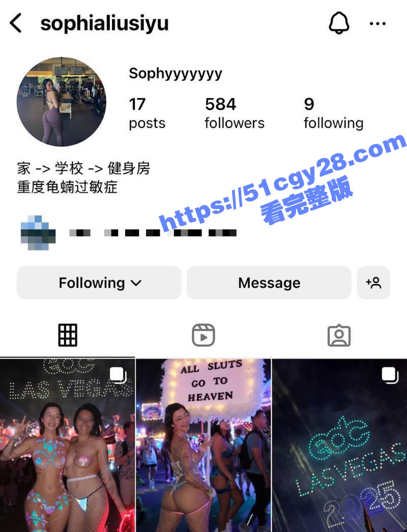 北美魅魔Sophia刘EDC电音节露出和室友啪啪 1