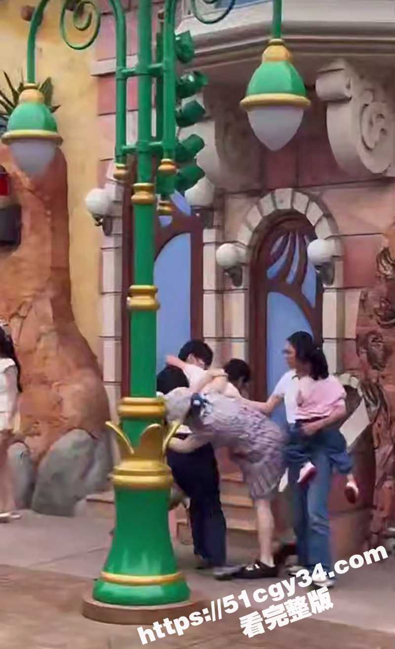 上海迪士尼情侣和一家三口打架露奶现场视频（5）