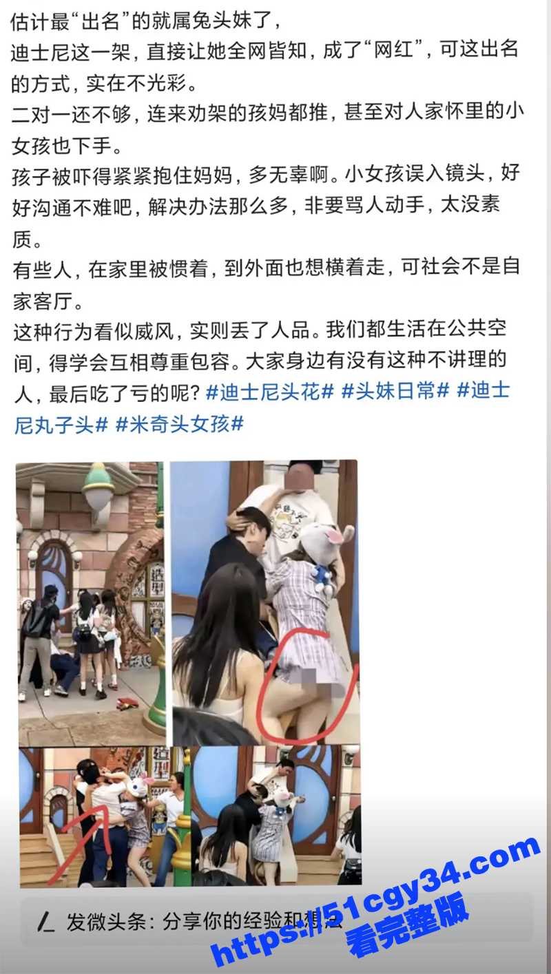 上海迪士尼情侣和一家三口打架露奶现场视频（6）