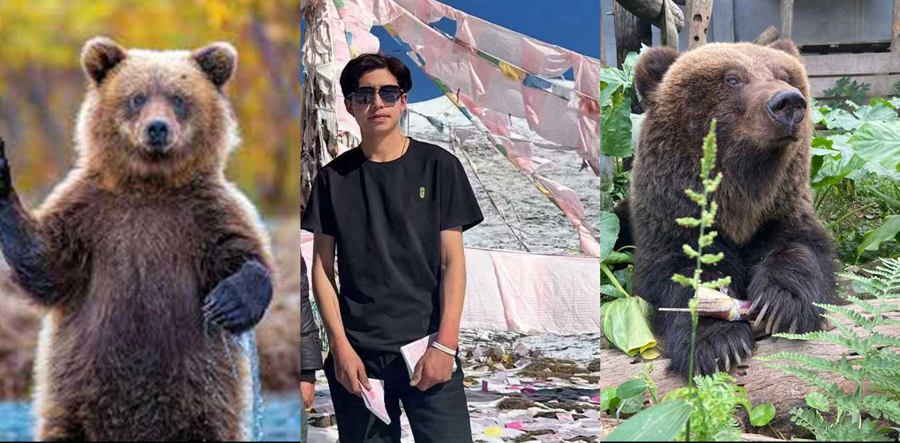 男子西藏旅游不幸遭棕熊袭击 被发现尸体时脸部被啃伤的只剩一半 视频抖音疯求 血腥慎入！