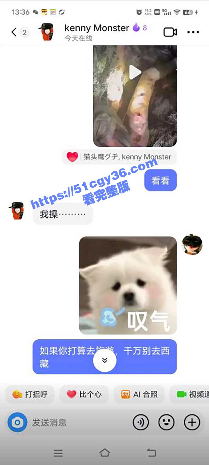 男孩西藏旅游被熊吃脸事件（5）