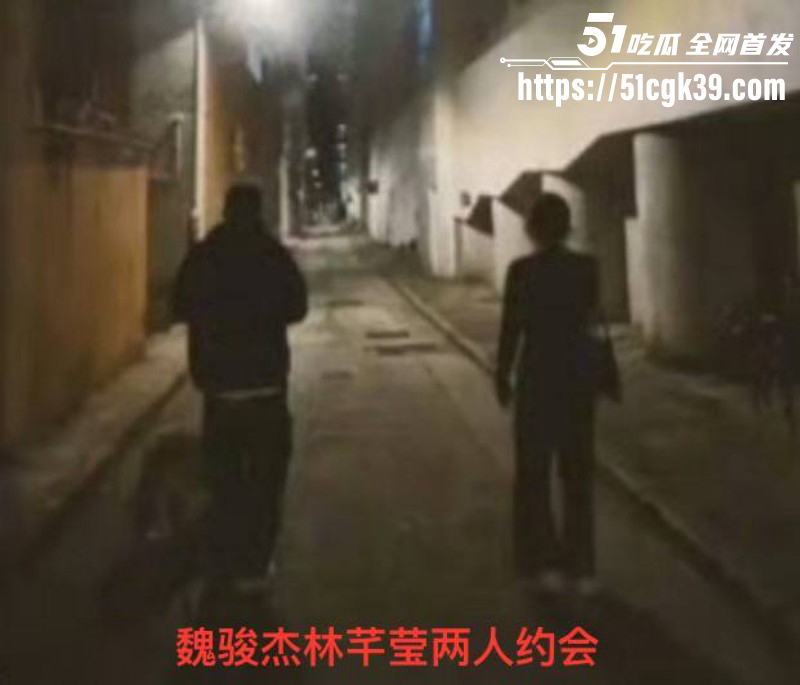 邓紫棋男友魏骏杰出轨林芊莹030 邓紫棋男友魏骏杰出轨林芊莹030