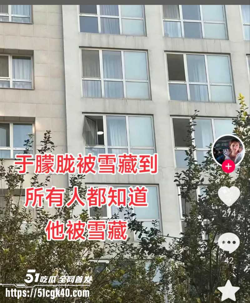 于朦胧死因真相曝光010