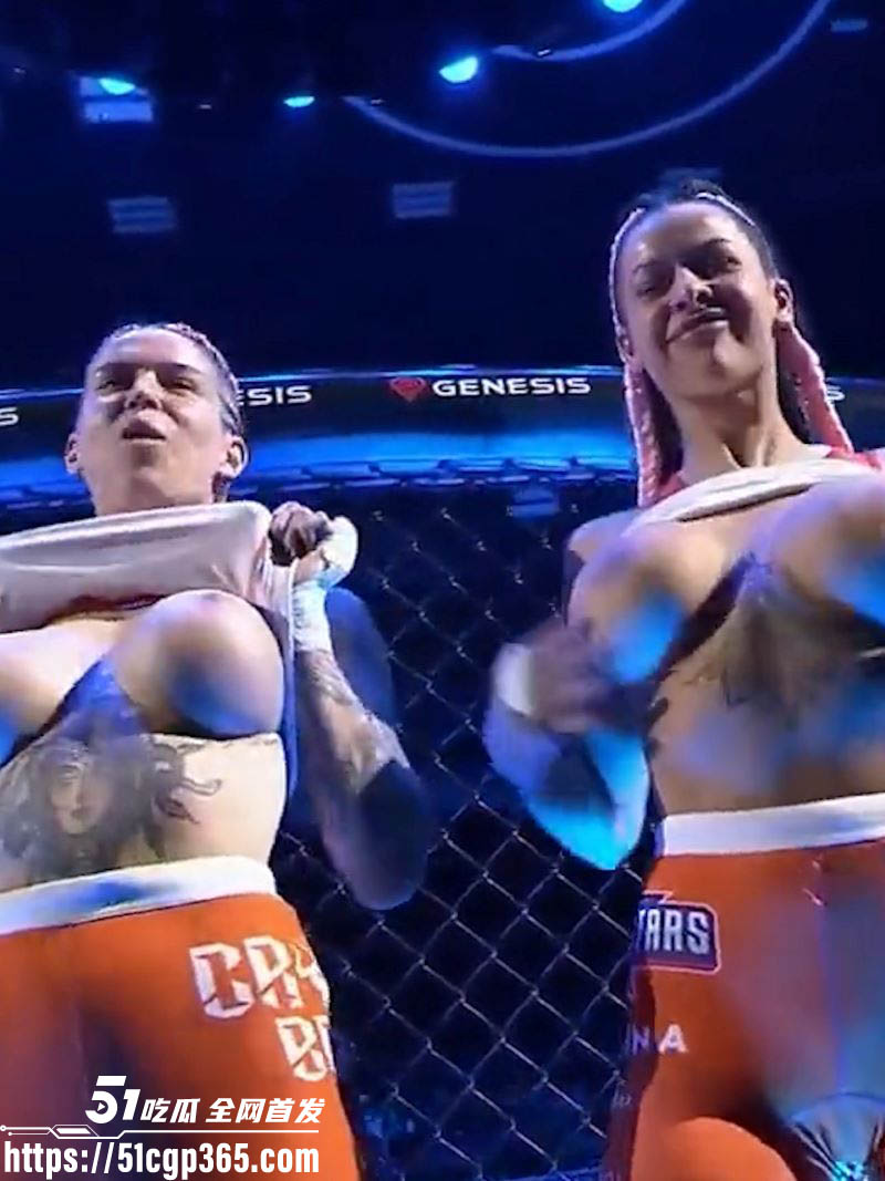 捷克斯洛伐克名人混合武术比赛 5