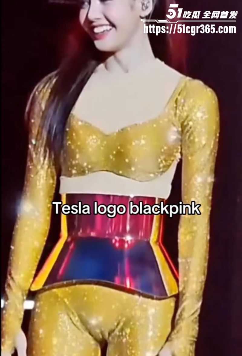 Lisa特斯拉标志梗 16