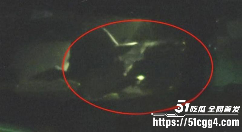 张俪车内约会杨旭文人设塌房016