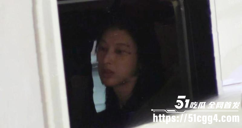 张俪车内约会杨旭文人设塌房019